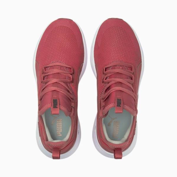 Puma Pure XT Moto Rose Női Edzőcipő Rózsaszín Arany | HU86226