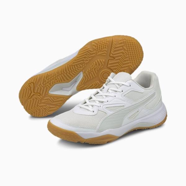 Puma Solarflash Indoor Sports Férfi Kézilabda Cipő Fehér | HU65572