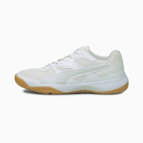 Puma Solarflash Indoor Sports Férfi Kézilabda Cipő Fehér | HU65572