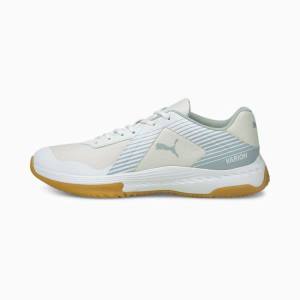 Puma Varion Indoor Sports Férfi Kézilabda Cipő Fehér Kék | HU13874